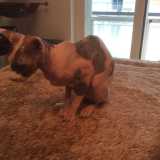 Un altro scatto di Fei